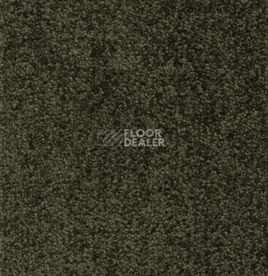 Ковролин Betap Transmit 650 фото 1 | FLOORDEALER