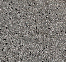 Линолеум Stop F 2.5 1855-17-228-2 фото 1 | FLOORDEALER