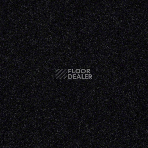 Ковролин Shaw Design Texture Platinum 503 фото 1 | FLOORDEALER