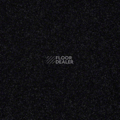 Ковролин Shaw Design Texture Platinum 503 фото 1 | FLOORDEALER