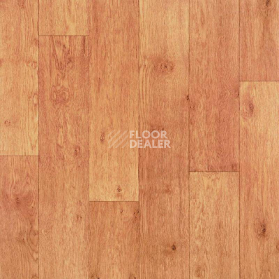 Линолеум Tarkett Standard Gost OXFORD_1 фото 1 | FLOORDEALER