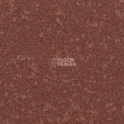 Ковровая плитка Desso Retrace ac 63 2086 фото 1 | FLOORDEALER