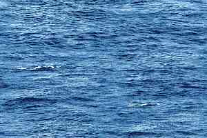 Ковролин Halbmond Pure Elements 13844 фото  | FLOORDEALER