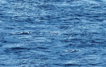 Ковролин Halbmond Pure Elements 13844 фото 1 | FLOORDEALER