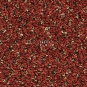 Ковролин Balsan Tango Tango 580 фото 1 | FLOORDEALER