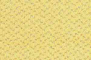 Ковролин Balta ITC Fortesse Fortesse 75 фото  | FLOORDEALER