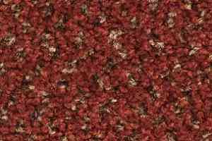 Ковролин Balsan Tango Tango 580 фото  | FLOORDEALER