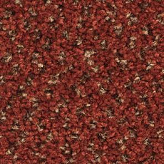 Ковролин Balsan Tango Tango 580 фото 1 | FLOORDEALER