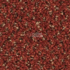 Ковролин Balsan Tango Tango 580 фото 1 | FLOORDEALER