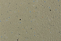 Forbo SureStep balance 173742 sage фото 2 | FLOORDEALER