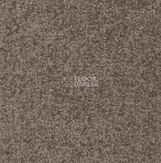 Ковролин Betap Transmit 850 фото 1 | FLOORDEALER