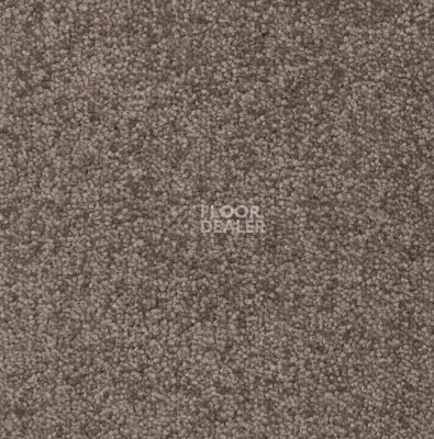 Ковролин Betap Transmit 850 фото 1 | FLOORDEALER