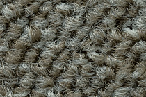 Tessera Create Space 1 1819 Jasper фото 5 | FLOORDEALER