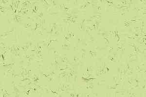 Кварцвиниловые полы Forbo Allura Colour C68024 фото  | FLOORDEALER