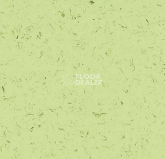 Кварцвиниловые полы Forbo Allura Colour C68024 фото 1 | FLOORDEALER