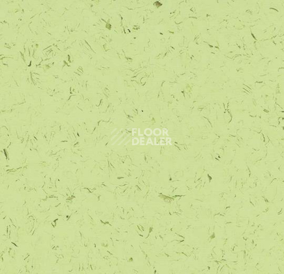 Кварцвиниловые полы Forbo Allura Colour C68024 фото 1 | FLOORDEALER