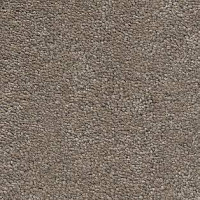 Ковролин AW Magnificus 37 фото 1 | FLOORDEALER