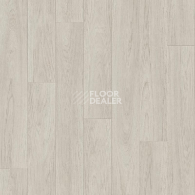 Линолеум Tarkett Sprint Pro CARNEY 1 фото 1 | FLOORDEALER