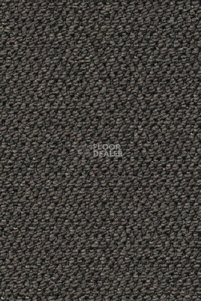 Ковролин AW Skye 96 фото 1 | FLOORDEALER