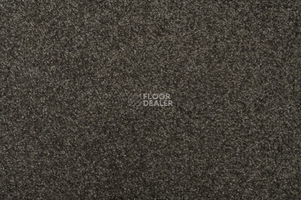 Ковролин AW Subtlety AW Subtlety  44 фото 1 | FLOORDEALER