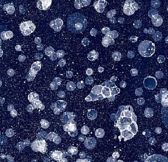 Ковролин Flotex Vision Pattern 001591 Starwalk Multi фото 1 | FLOORDEALER