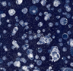 Ковролин Flotex Vision Pattern 001591 Starwalk Multi фото 1 | FLOORDEALER