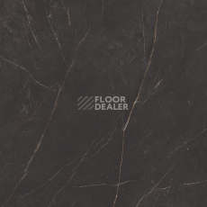 Nolana ( Нолана ) 60 x 60 x10 NL04 фото 10 | FLOORDEALER