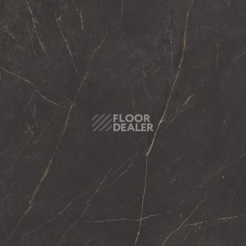 Nolana ( Нолана ) 60 x 60 x10 NL04 фото 10 | FLOORDEALER