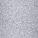 Линолеум Novoflor Extra Sparkle 2440-58  | FLOORDEALER