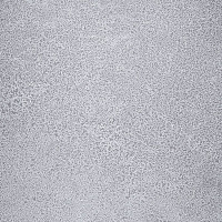 Линолеум Novoflor Extra Sparkle 2440-58 фото 1 | FLOORDEALER
