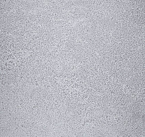 Линолеум Novoflor Extra Sparkle 2440-58 фото 1 | FLOORDEALER