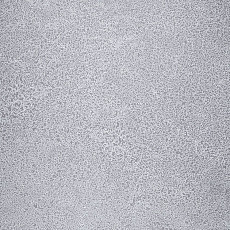 Линолеум Novoflor Extra Sparkle 2440-58 фото 1 | FLOORDEALER