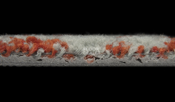 ColorKey ColorKey b 04 фото 3 | FLOORDEALER