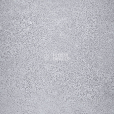 Линолеум Novoflor Extra Sparkle 2440-58 фото 1 | FLOORDEALER