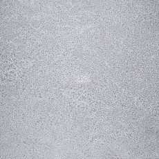 Novoflor Extra Sparkle 2440-58 фото 1 | FLOORDEALER