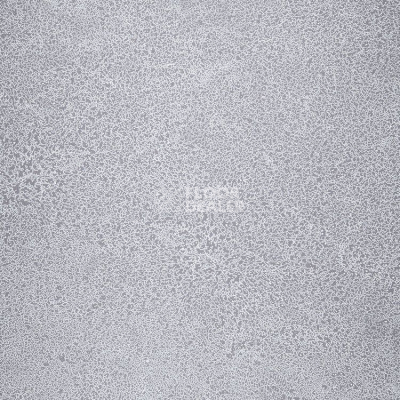 Линолеум Novoflor Extra Sparkle 2440-58 фото 1 | FLOORDEALER