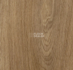Кварцвиниловые полы Forbo allura decibel 0.8 wood 5513AD8 weathered serene oak (100x20 cm) фото 1 | FLOORDEALER