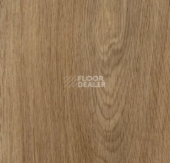Кварцвиниловые полы Forbo allura decibel 0.8 wood 5513AD8 weathered serene oak (100x20 cm) фото 1 | FLOORDEALER