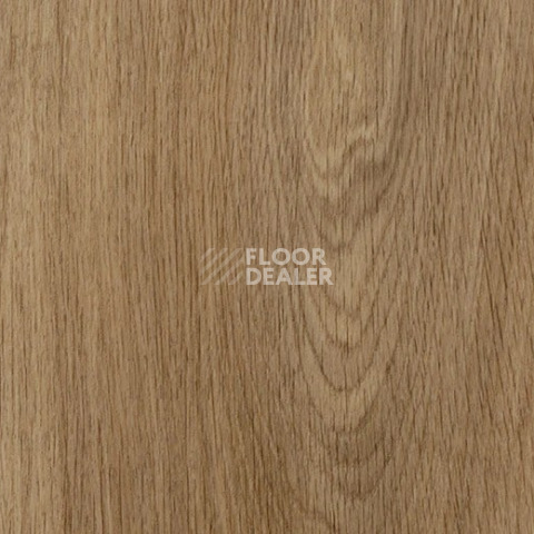 Кварцвиниловые полы Forbo allura decibel 0.8 wood 5513AD8 weathered serene oak (100x20 cm) фото 1 | FLOORDEALER