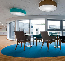 Flotex Vision Naturals 010036 American Oak фото 2 | FLOORDEALER