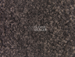 Balsan Bolero 790 фото 2 | FLOORDEALER