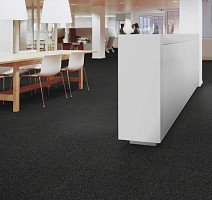 Tessera Basis 351 Jet фото 2 | FLOORDEALER