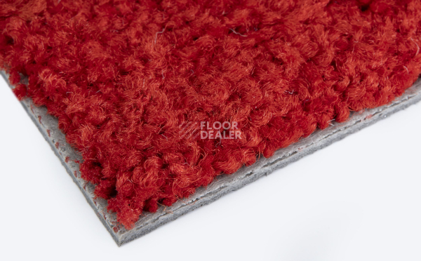 ColorKey ColorKey 03 фото 4 | FLOORDEALER