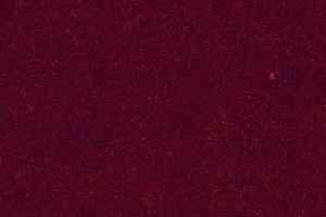 Ковролин AW Seduction 12 фото  | FLOORDEALER