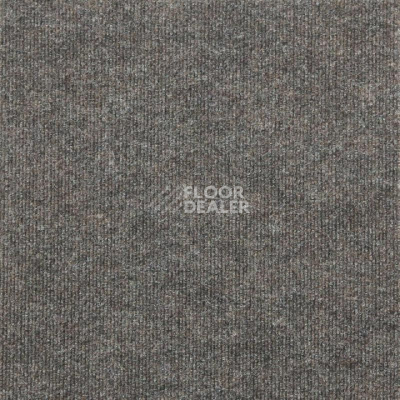 Ковролин Tarkett Meridian Meridian 1115 фото 1 | FLOORDEALER