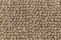 Standard Carpets Spectrum sm 594 фото 3 | FLOORDEALER