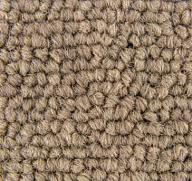 Standard Carpets Spectrum sm 594 фото 3 | FLOORDEALER