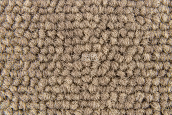 Standard Carpets Spectrum sm 594 фото 3 | FLOORDEALER