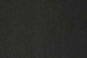 Ковролин Balta ITC Prominent 198 фото  | FLOORDEALER