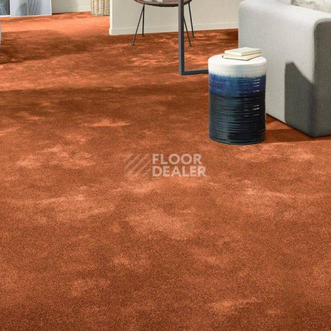 Vorwerk Superior 1064/Lyrica Vorwerk 2f34 фото 2 | FLOORDEALER